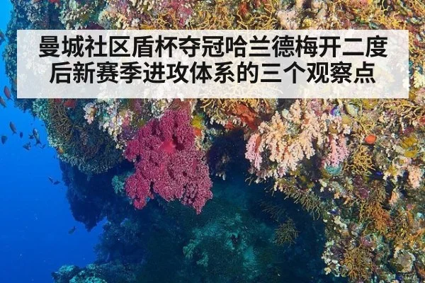 曼城社区盾杯夺冠哈兰德梅开二度后新赛季进攻体系的三个观察点